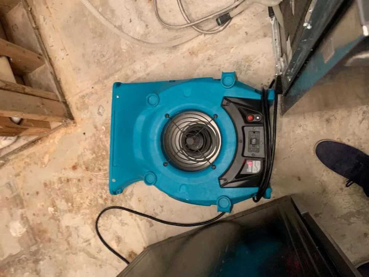 Air mover drying equipment for Mold Remediation & Removal in College Station